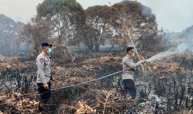 Hari ke-13, Tim Gabungan Terus Berjuang Padamkan Karhutla di Resun Pesisir Lingga