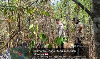 Angin Kencang Picu Api Cepat Menjalar, 0,5 Hektare Kebun Warga di Daik Terbakar