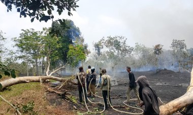 Kebakaran Lahan di Marok Tua, Polsek Singkep Barat Lakukan Pemantauan dan Penanganan
