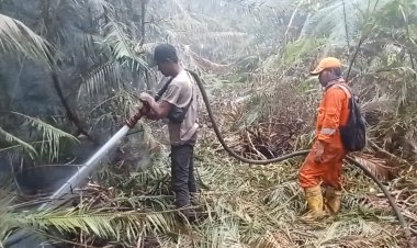 Pemadaman Hari Ke-28, Tim Gabungan Terus Kendalikan Titik Api di Lahan Desa Kudung