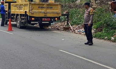Antisipasi Pohon Tumbang, Bhabinkamtibmas Tiban Baru Bersihkan Pohon di Pinggir Jalan