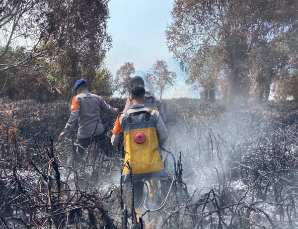 Hari Ke-12, Tim Gabungan Polres Lingga Dan Personel BKO Brimobda Kepulauan Riau Terus Lakukan Pemadaman Karhutla di Desa Resun Pesisir