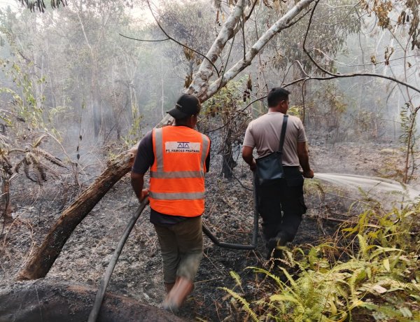 Kebakaran Lahan 9 Hektare di Marok Tua Lingga Dipadamkan Tim Gabungan