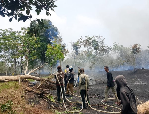 Kebakaran Lahan di Marok Tua, Polsek Singkep Barat Lakukan Pemantauan dan Penanganan