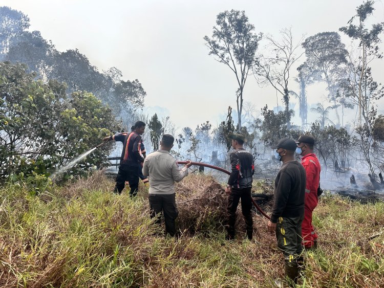 Dirreskrimsus Polda Kepri Turun Langsung Cek Titik Api di Tanjung Irat, Tim Gunakan Drone