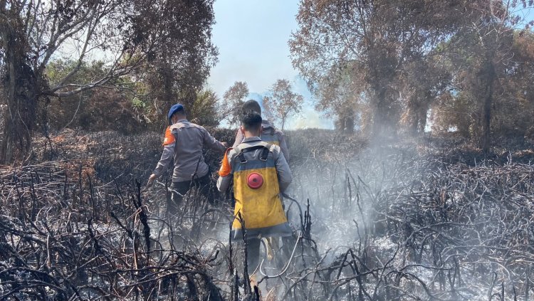 Hari Ke-12, Tim Gabungan Polres Lingga Dan Personel BKO Brimobda Kepulauan Riau Terus Lakukan Pemadaman Karhutla di Desa Resun Pesisir