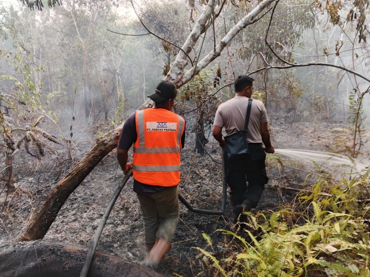Kebakaran Lahan 9 Hektare di Marok Tua Lingga Dipadamkan Tim Gabungan