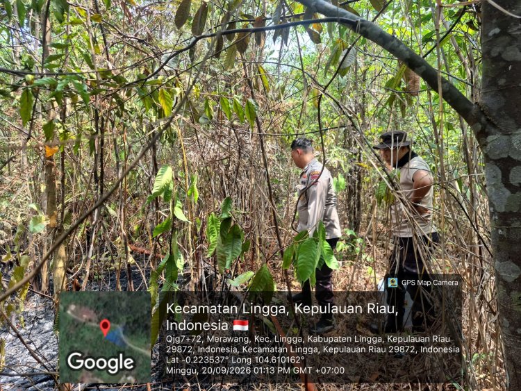 Angin Kencang Picu Api Cepat Menjalar, 0,5 Hektare Kebun Warga di Daik Terbakar