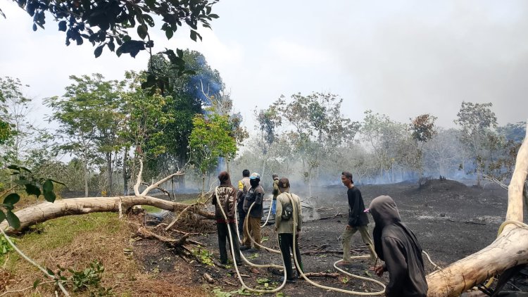 Kebakaran Lahan di Marok Tua, Polsek Singkep Barat Lakukan Pemantauan dan Penanganan