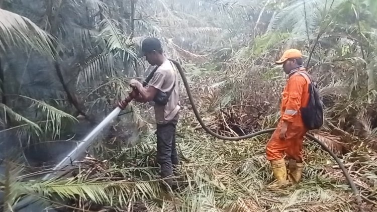 Pemadaman Hari Ke-28, Tim Gabungan Terus Kendalikan Titik Api di Lahan Desa Kudung