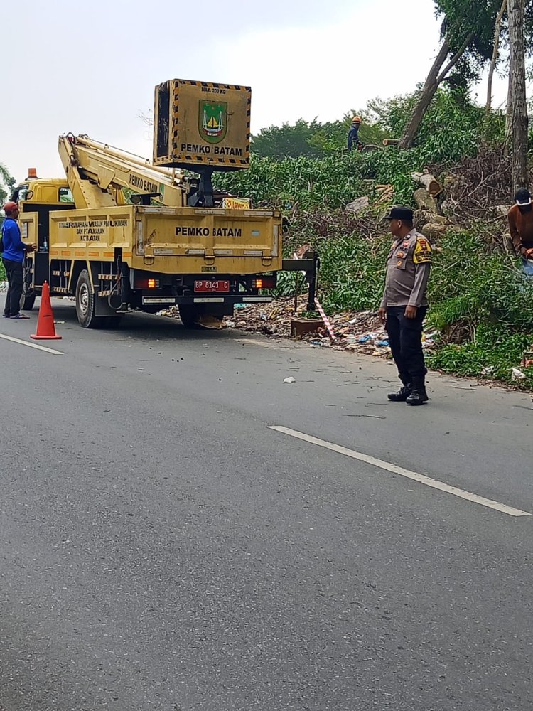 Antisipasi Pohon Tumbang, Bhabinkamtibmas Tiban Baru Bersihkan Pohon di Pinggir Jalan