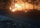 Kebakaran Lahan Semak Belukar di Marina City, Api Meluas hingga 4.000 Meter Persegi