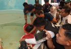 Bareskrim Polri Bongkar Dugaan Penyelundupan Benih Lobster ke Vietnam, 73.477 Ekor Diselamatkan untuk Budidaya di Batam