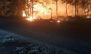 Kebakaran Lahan Semak Belukar di Marina City, Api Meluas hingga 4.000 Meter Persegi