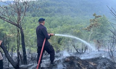 Satbrimob Polda Kepri Bergerak Cepat, Kebakaran Lahan di Tiwangkang Berhasil Dipadamkan