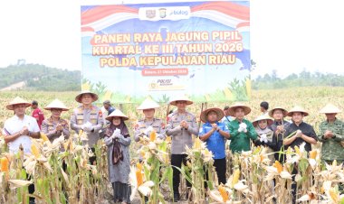 Panen Raya Jagung di Galang, Polda Kepri dan Polresta Barelang Salurkan 15,6 Ton ke Bulog