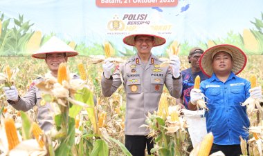 Kapolda Kepri Pimpin Panen Raya Jagung di Galang, Dukung Ketahanan Pangan Nasional