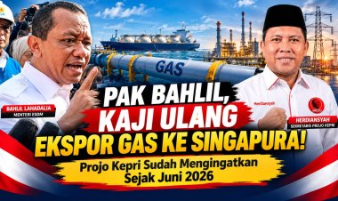 Projo Kepri Kembali Desak Evaluasi Ekspor Gas ke Singapura, Herdiansyah Sudah Ingatkan Sejak Juni