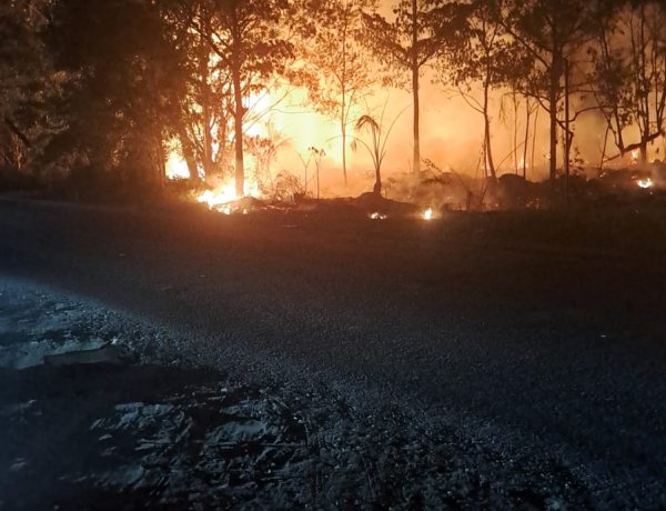 Kebakaran Lahan Semak Belukar di Marina City, Api Meluas hingga 4.000 Meter Persegi