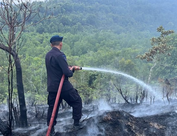 Satbrimob Polda Kepri Bergerak Cepat, Kebakaran Lahan di Tiwangkang Berhasil Dipadamkan