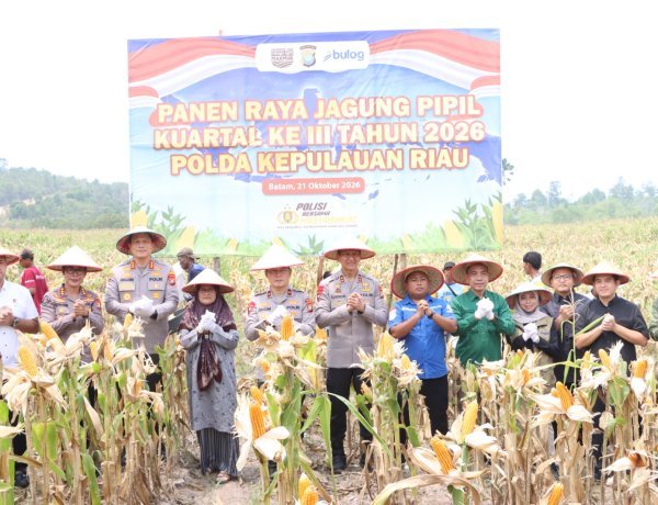 Panen Raya Jagung di Galang, Polda Kepri dan Polresta Barelang Salurkan 15,6 Ton ke Bulog