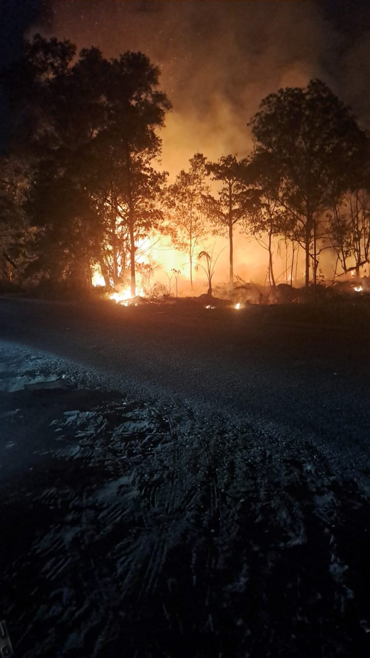 Kebakaran Lahan Semak Belukar di Marina City, Api Meluas hingga 4.000 Meter Persegi