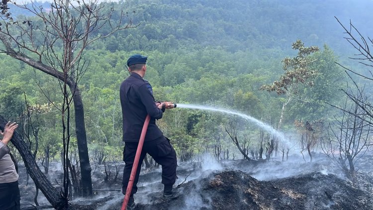 Satbrimob Polda Kepri Bergerak Cepat, Kebakaran Lahan di Tiwangkang Berhasil Dipadamkan