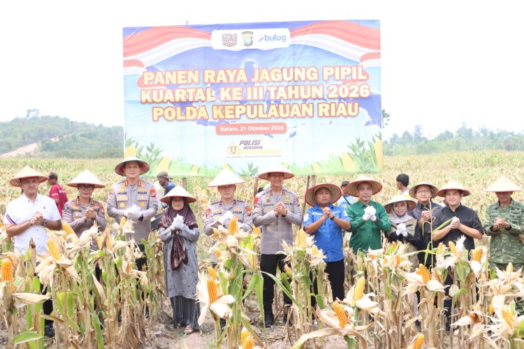 Panen Raya Jagung di Galang, Polda Kepri dan Polresta Barelang Salurkan 15,6 Ton ke Bulog