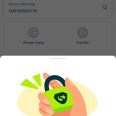 Layanan WA ovo online 24 jam